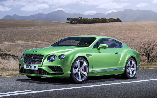 Green Bentley Continental GT4 sports car parked on a road with a scenic field and mountain landscape in the background, captured in 4K Ultra HD.