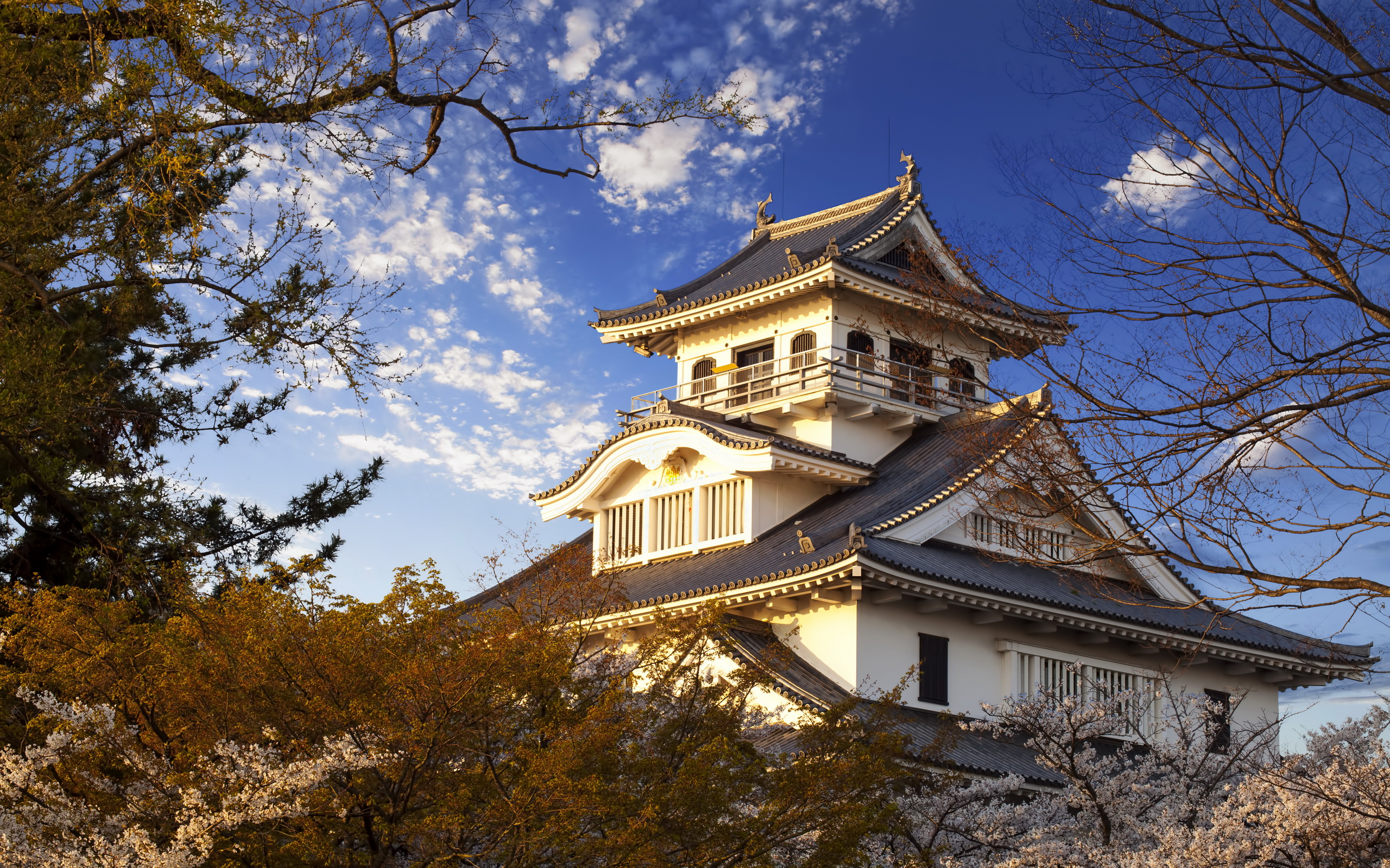 Man Made Nagahama Castle HD Wallpaper | Background Image