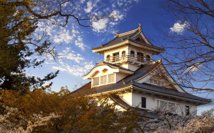 Nagahama Castle, a hirashiro in Shiga Prefecture, Japan, framed by cherry blossoms and a vivid blue sky — 2K Quad HD PC desktop wallpaper.