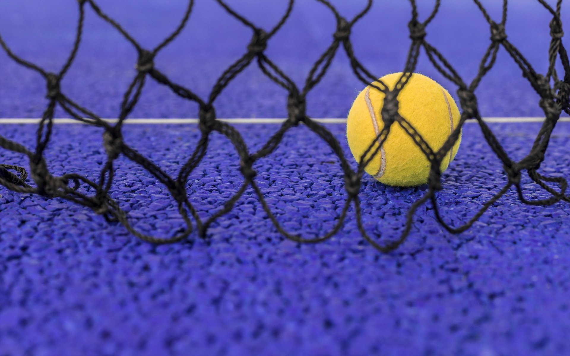 Tennis HD Wallpaper | Background Image | 1920x1200 | ID ...