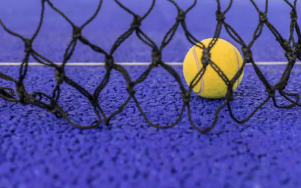 tennis Sports HD Desktop Wallpaper | Background Image