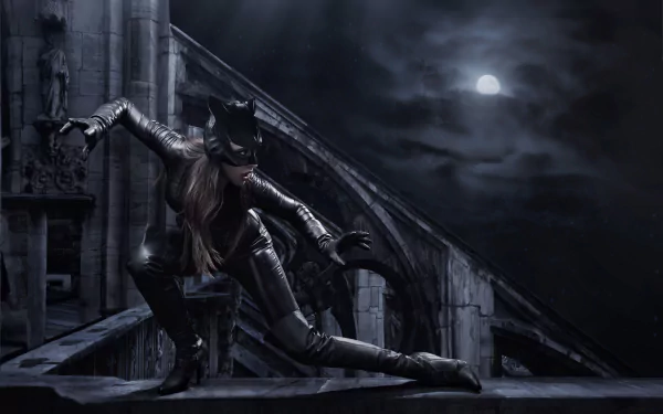 Comic Catwoman HD Desktop Wallpaper | Background Image