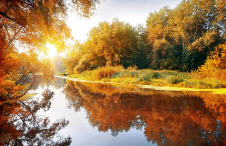 A serene river scene with birch trees reflecting in the water, bathed in warm autumn sunshine, surrounded by a lush forest and vibrant fall foliage. An inviting nature landscape.