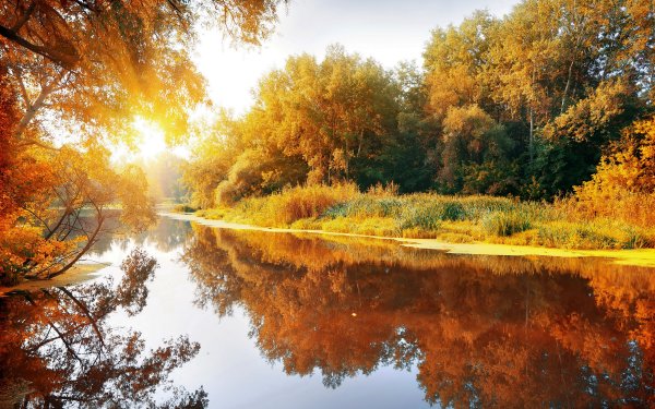 Aarde/Natuur Herfst Boom Bos Hout Reflectie Natuur Sunshine Rivier Berk HD Wallpaper | Achtergrond