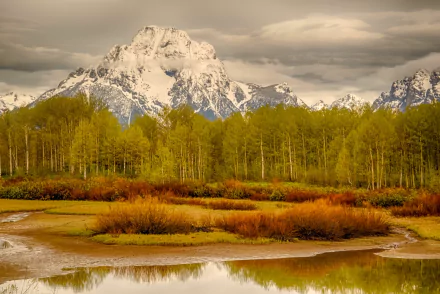HD PC desktop wallpaper of Mount Moran: nature scene with a snow-capped peak rising above golden aspens and marshy wetlands, reflected in calm water under brooding clouds.