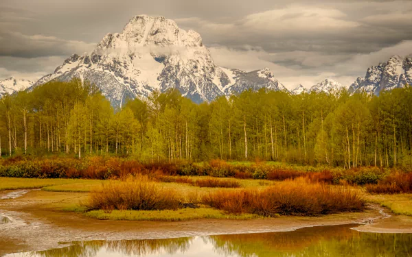 HD PC desktop wallpaper of Mount Moran: nature scene with a snow-capped peak rising above golden aspens and marshy wetlands, reflected in calm water under brooding clouds.