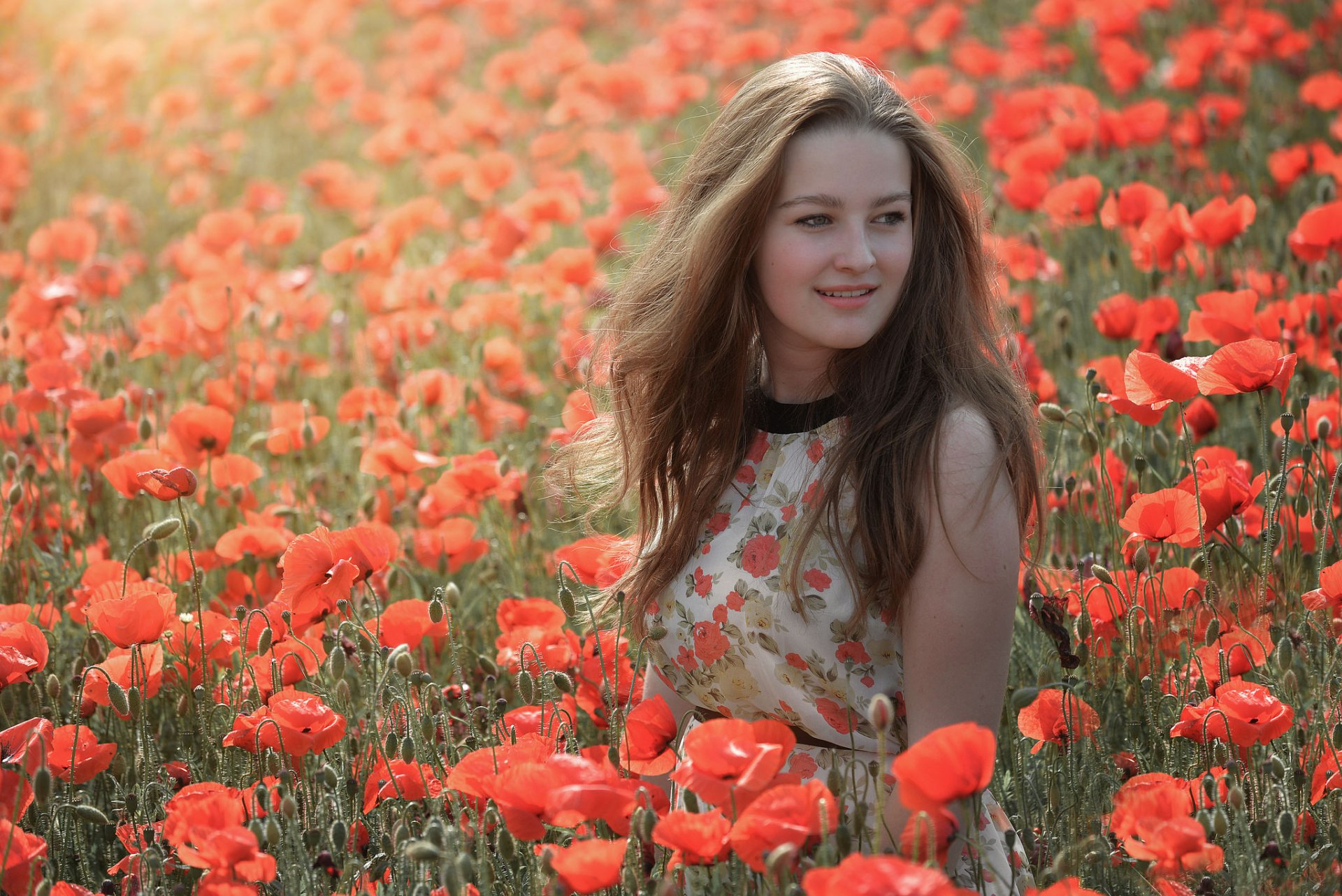 A brunette woman in a summer dress stands smiling in a vibrant red poppy field, captured outdoors as an HD PC desktop wallpaper and background.