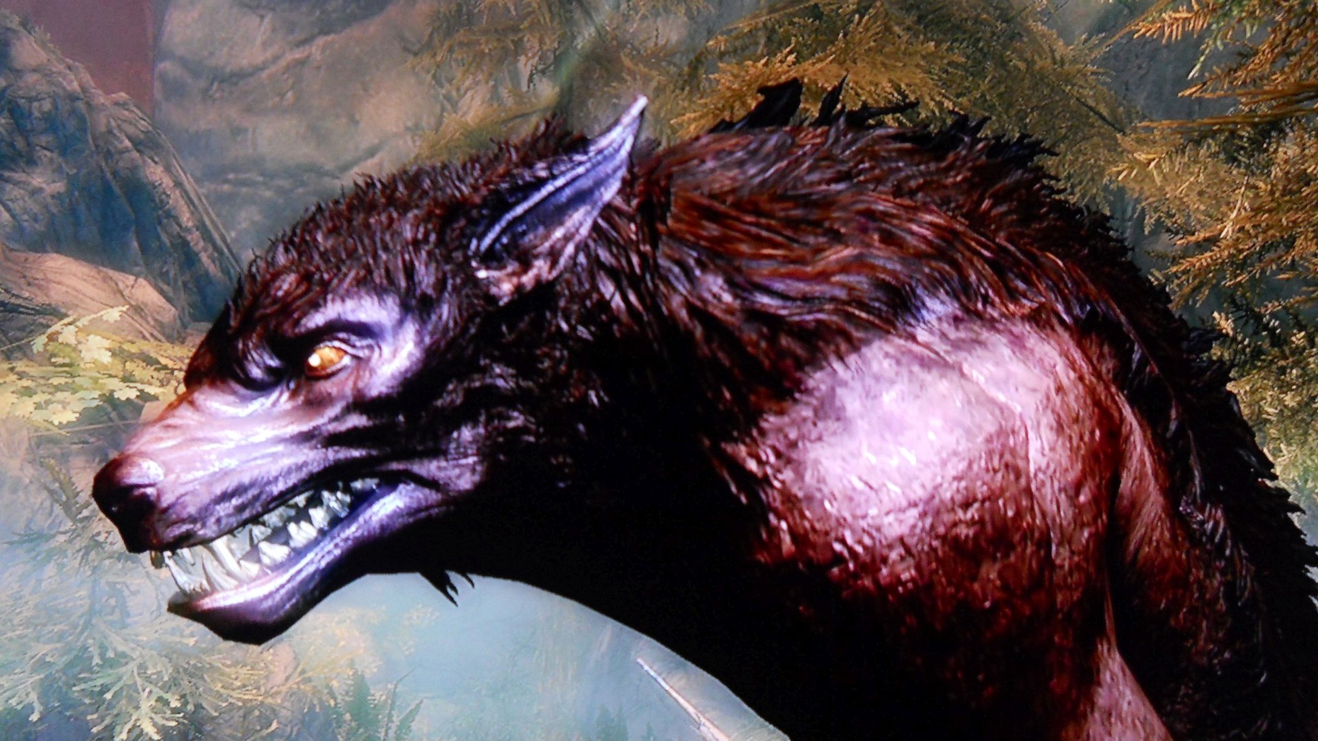Download Werewolf Video Game The Elder Scrolls V: Skyrim  4k Ultra HD Wallpaper