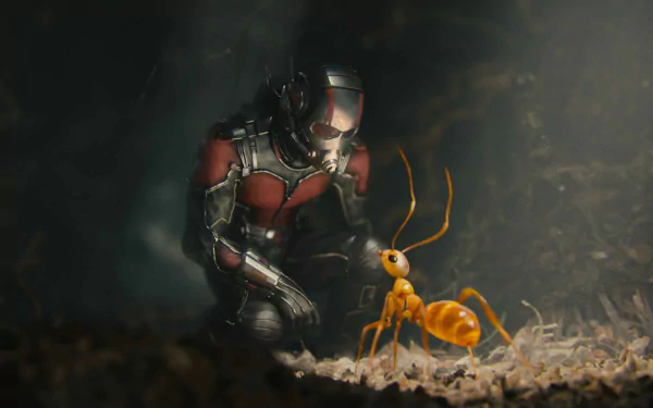 movie Ant-Man Ant-Man HD Desktop Wallpaper | Background Image