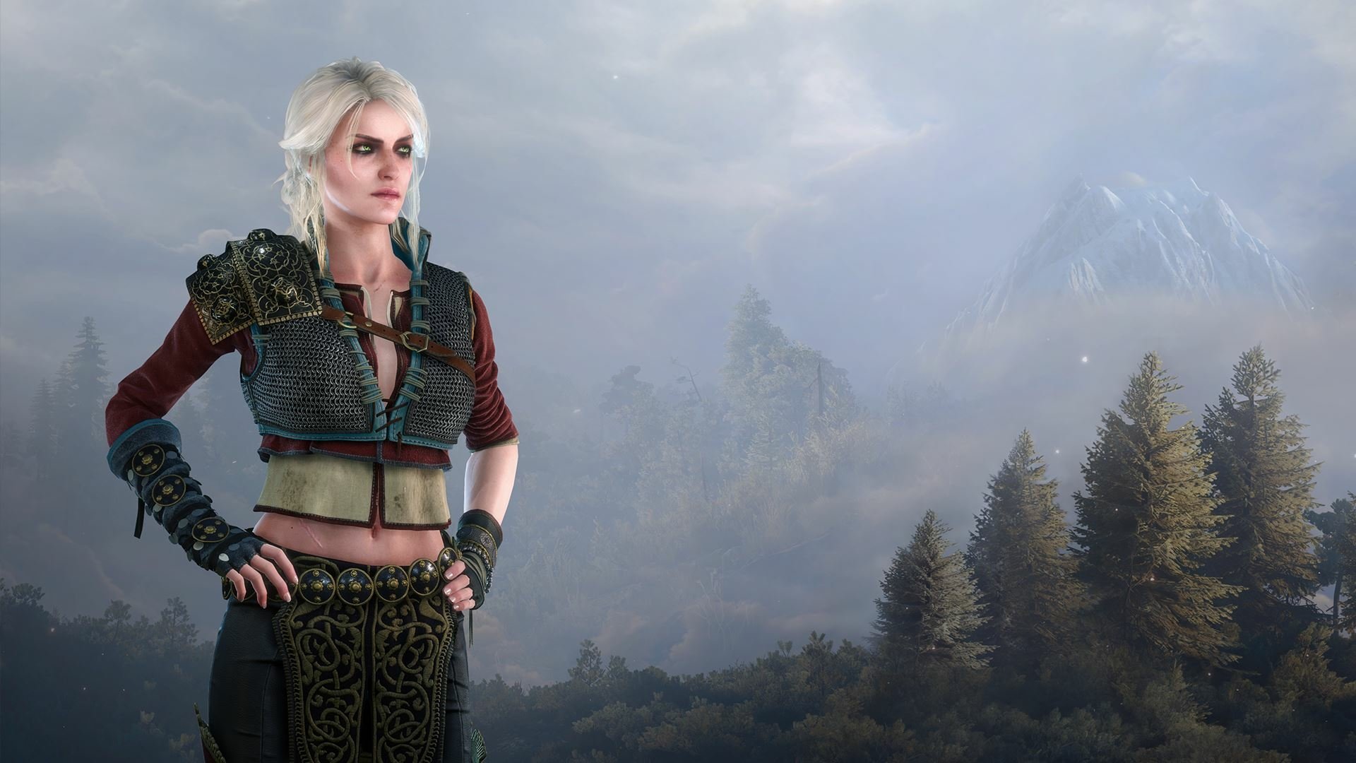 Download Ciri (The Witcher) Video Game The Witcher 3: Wild Hunt  HD Wallpaper