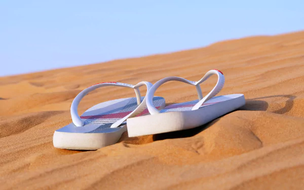  Sand dunes