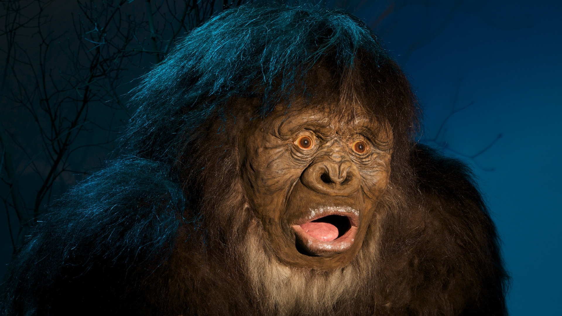 Bigfoot Full HD Wallpaper and Background Image | 1920x1080 | ID:609129