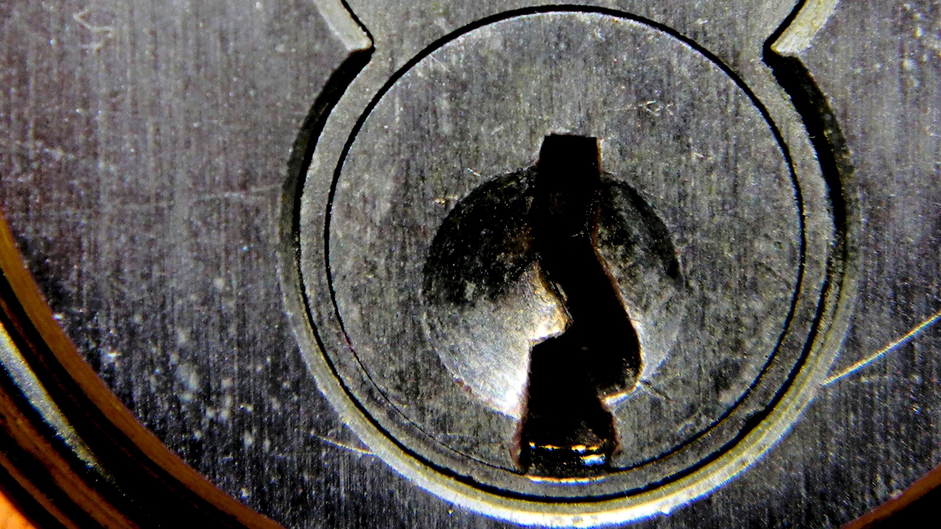 Download Photography Close-up 4k Ultra HD Wallpaper