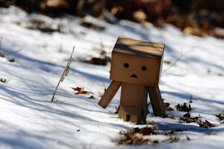 A cardboard figure stands alone in a snowy landscape, surrounded by fallen leaves. This whimsical scene makes for an engaging 4K Ultra HD PC desktop wallpaper and background.