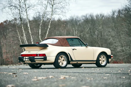 vehicle Porsche 911 Turbo HD Desktop Wallpaper | Background Image