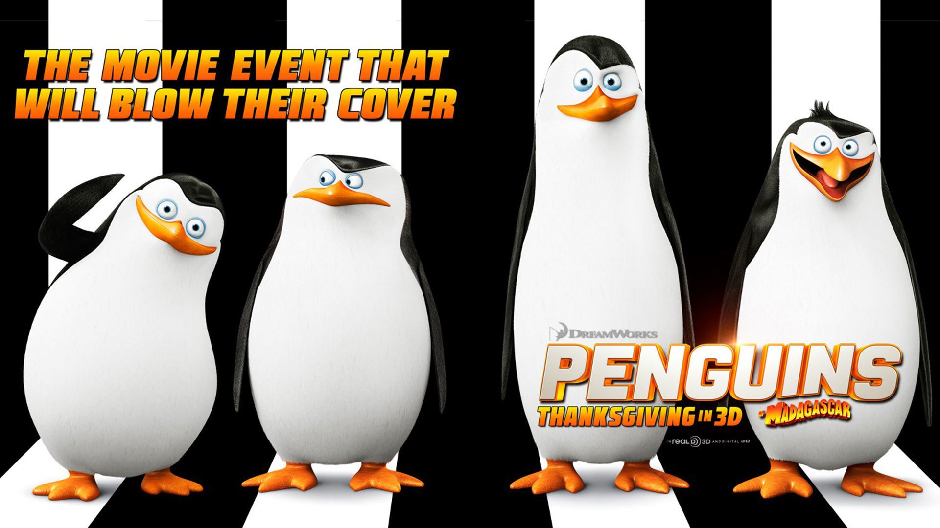 Penguins Of Madagascar Hd Wallpaper 0624