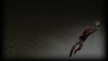 video game Football Manager 2013 HD Desktop Wallpaper | Background Image