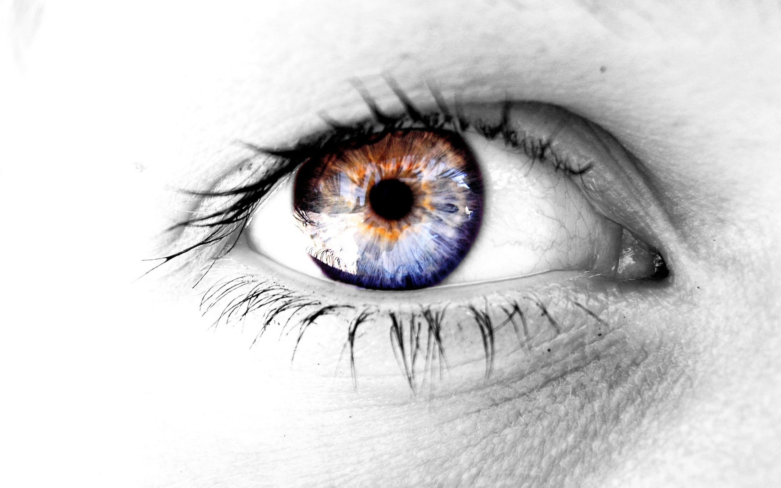 Artistic Eye HD Wallpaper | Background Image