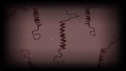 video game Plague Inc: Evolved HD Desktop Wallpaper | Background Image