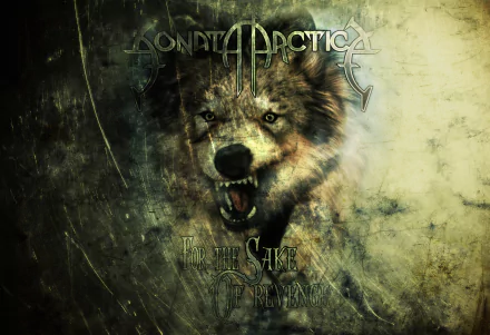 music sonata arctica HD Desktop Wallpaper | Background Image