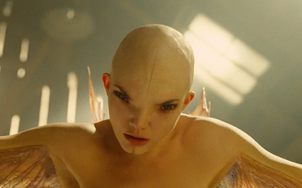 movie Splice HD Desktop Wallpaper | Background Image