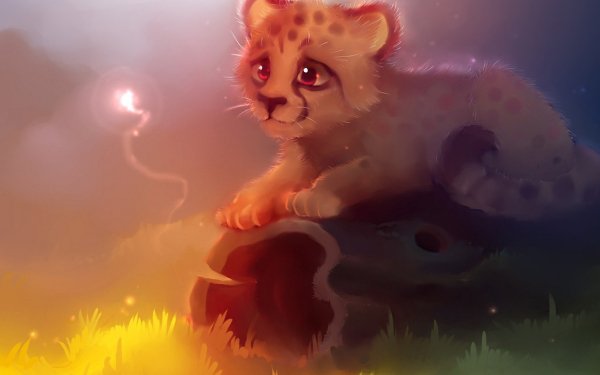 Animal Cheetah Cats Baby Animal HD Wallpaper | Background Image