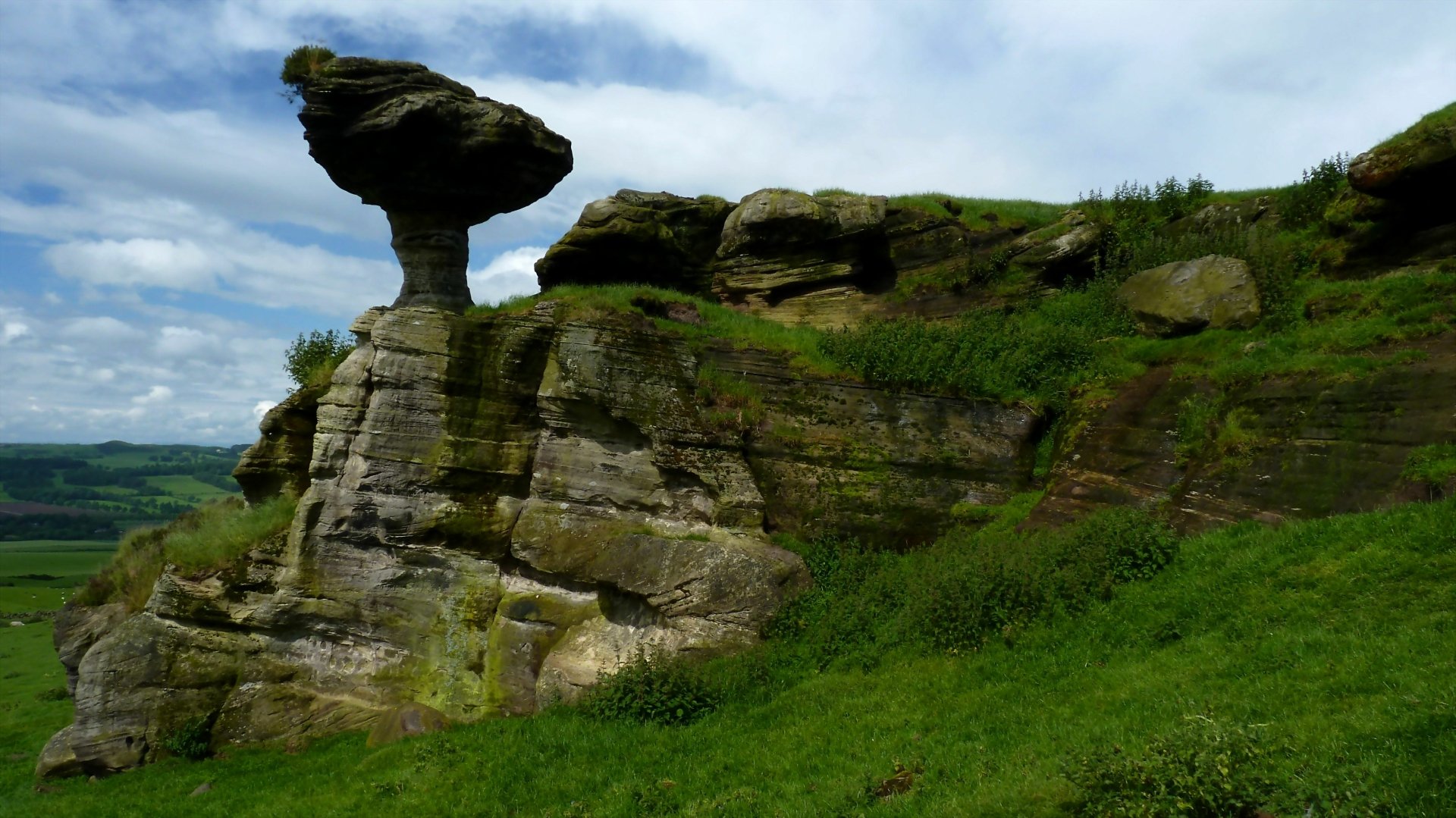 Download Nature Bunnet Stane 4k Ultra HD Wallpaper