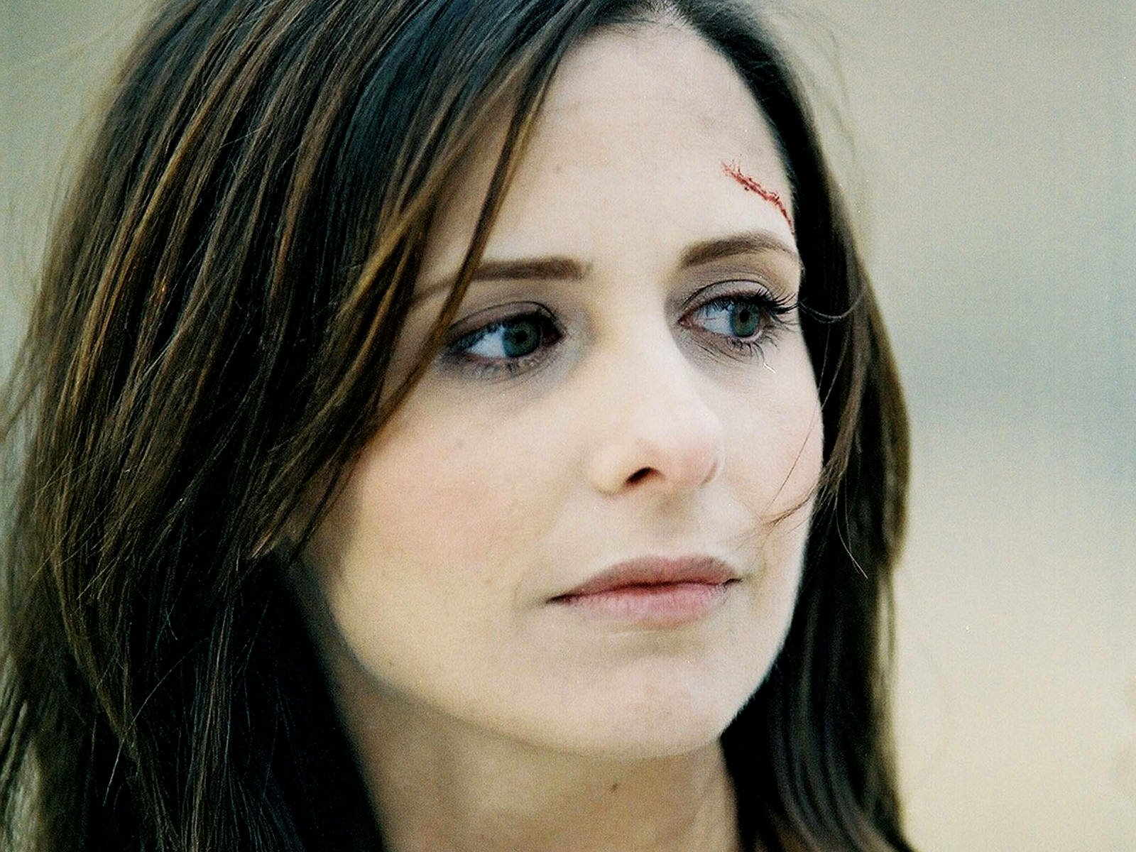 Download Sarah Michelle Gellar Movie The Return (2006) Wallpaper