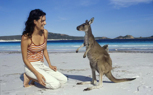 2K Quad HD PC desktop wallpaper: person kneeling on white sand beach smiling at a standing kangaroo with turquoise sea and distant islands under a clear blue sky.