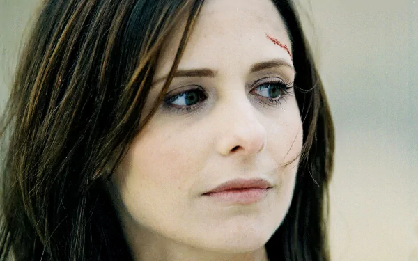 Sarah Michelle Gellar movie The Return (2006) HD Desktop Wallpaper | Background Image