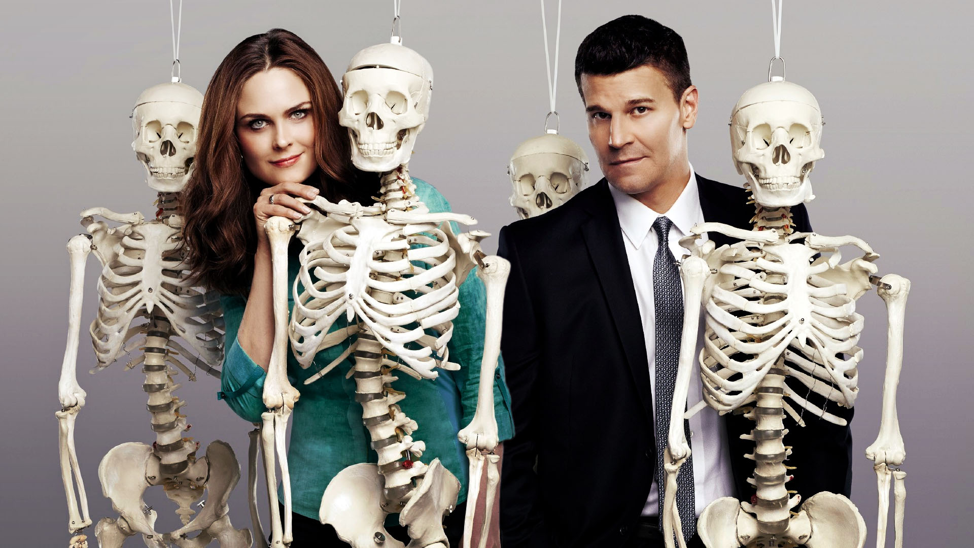 TV Show Bones Wallpaper