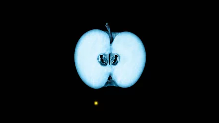 TV Show Fringe HD Desktop Wallpaper | Background Image