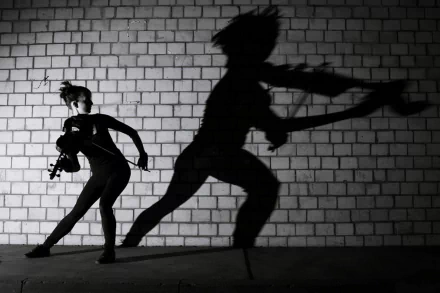 HD PC desktop wallpaper of a silhouetted violinist in motion against a brick wall, casting a dramatic oversized shadow — music-themed background.