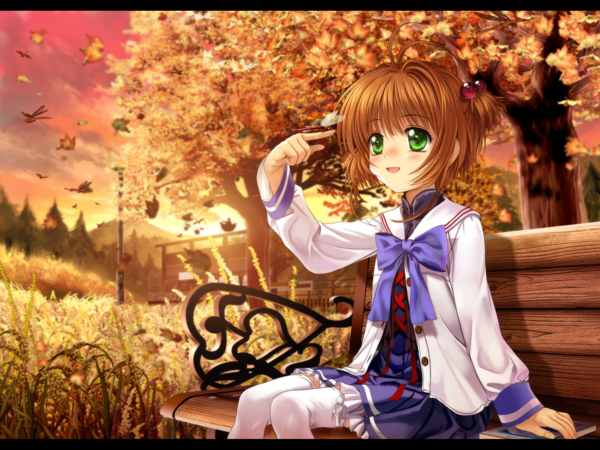 Manga Sakura Chasseuse De Cartes