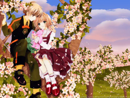 Anime Cardcaptor Sakura HD Desktop Wallpaper | Background Image