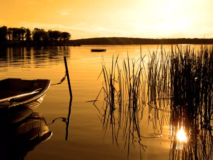 A tranquil HD nature wallpaper depicting a serene lake at sunset, with a small boat tethered near reeds. The golden glow of the setting sun reflects beautifully on the water, creating a peaceful scenic view.