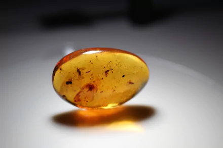 amber nature Mineral HD Desktop Wallpaper | Background Image