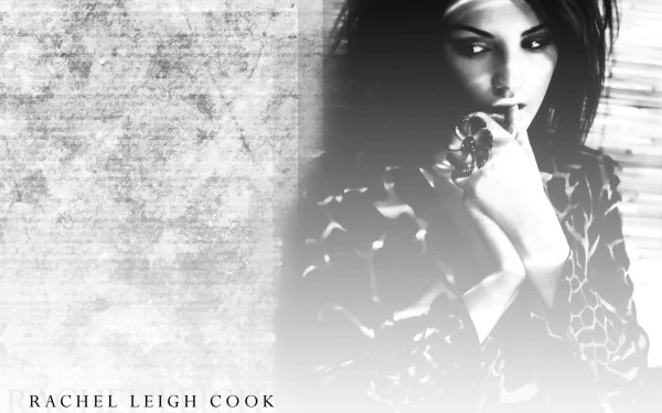 Celebrity Rachael Leigh Cook HD Desktop Wallpaper | Background Image