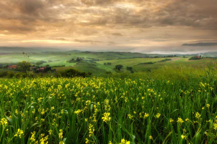 photography Tuscany HD Desktop Wallpaper | Background Image