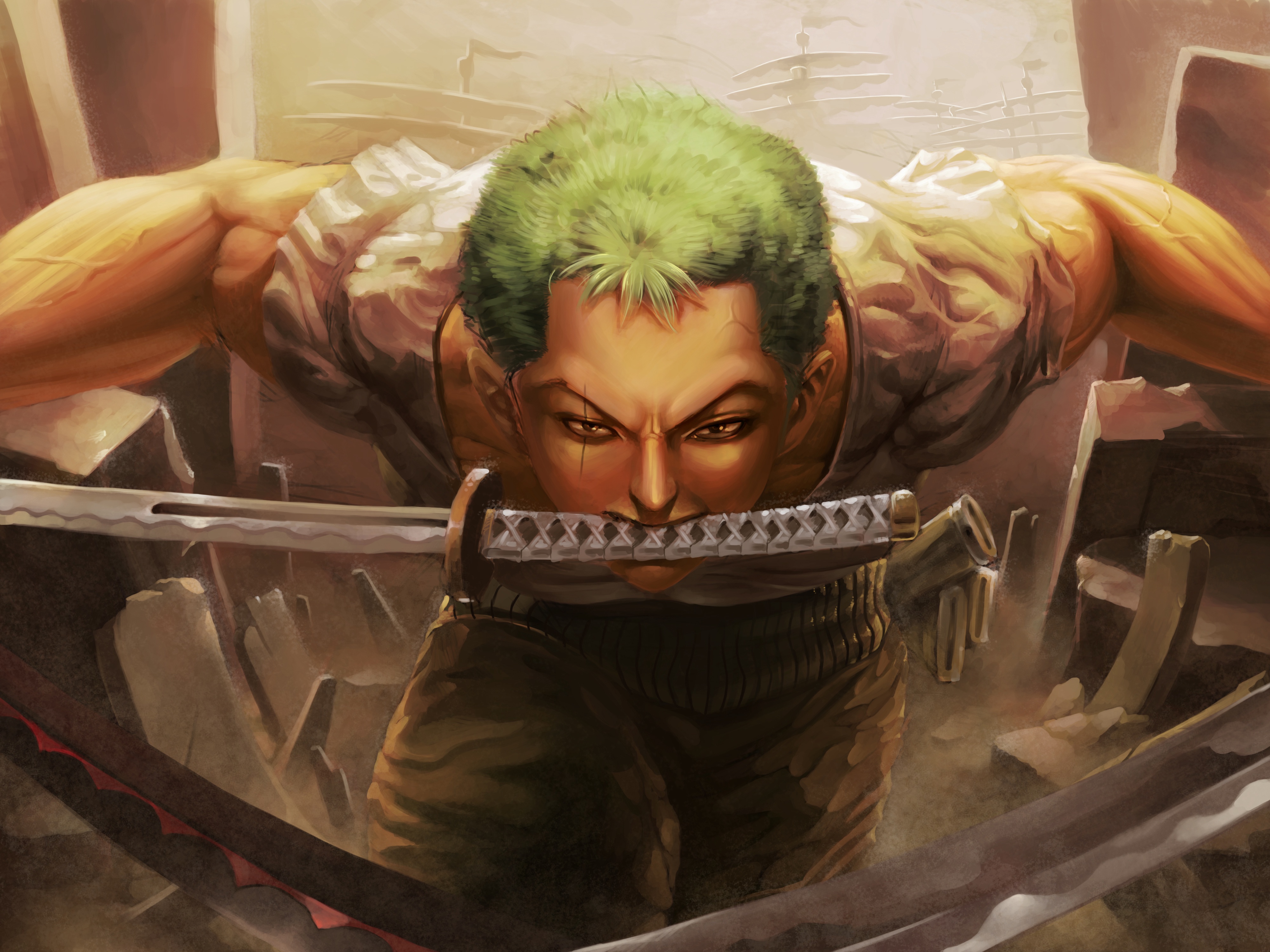 560+ Roronoa Zoro HD Wallpapers and Backgrounds