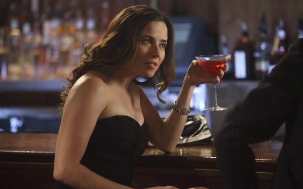 Linda Cardellini TV Show Person Of Interest HD Desktop Wallpaper | Background Image