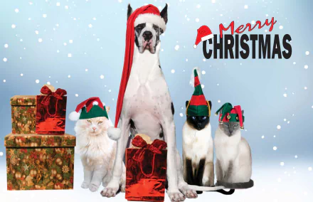  Merry Christmas From Paw Of Us