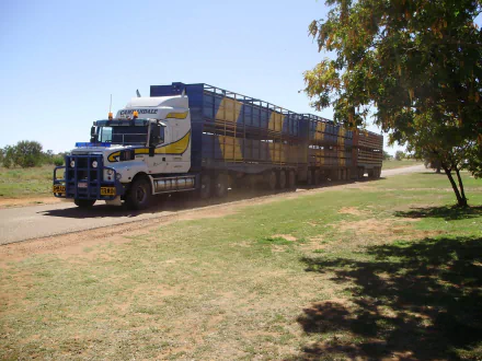 HD desktop wallpaper showing an Iveco road train driving on a rural dirt road under a clear sky with trees nearby.