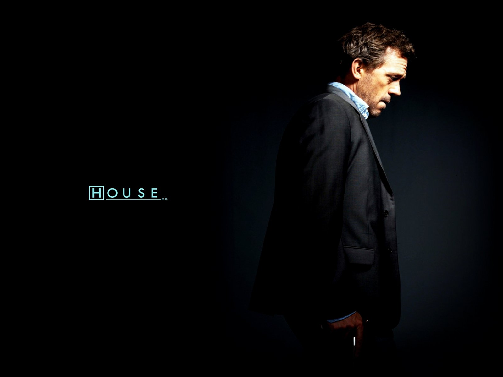 Download Gregory House Hugh Laurie TV Show House Wallpaper