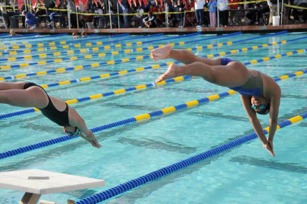 swimming Sports HD Desktop Wallpaper | Background Image