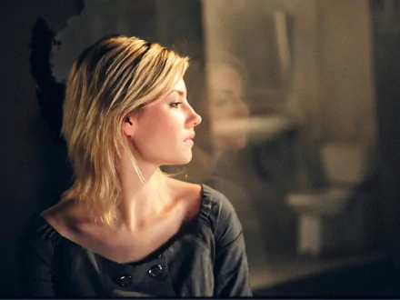 HD desktop wallpaper featuring a side profile of celebrity Elisha Cuthbert with soft lighting and a reflective glass background.