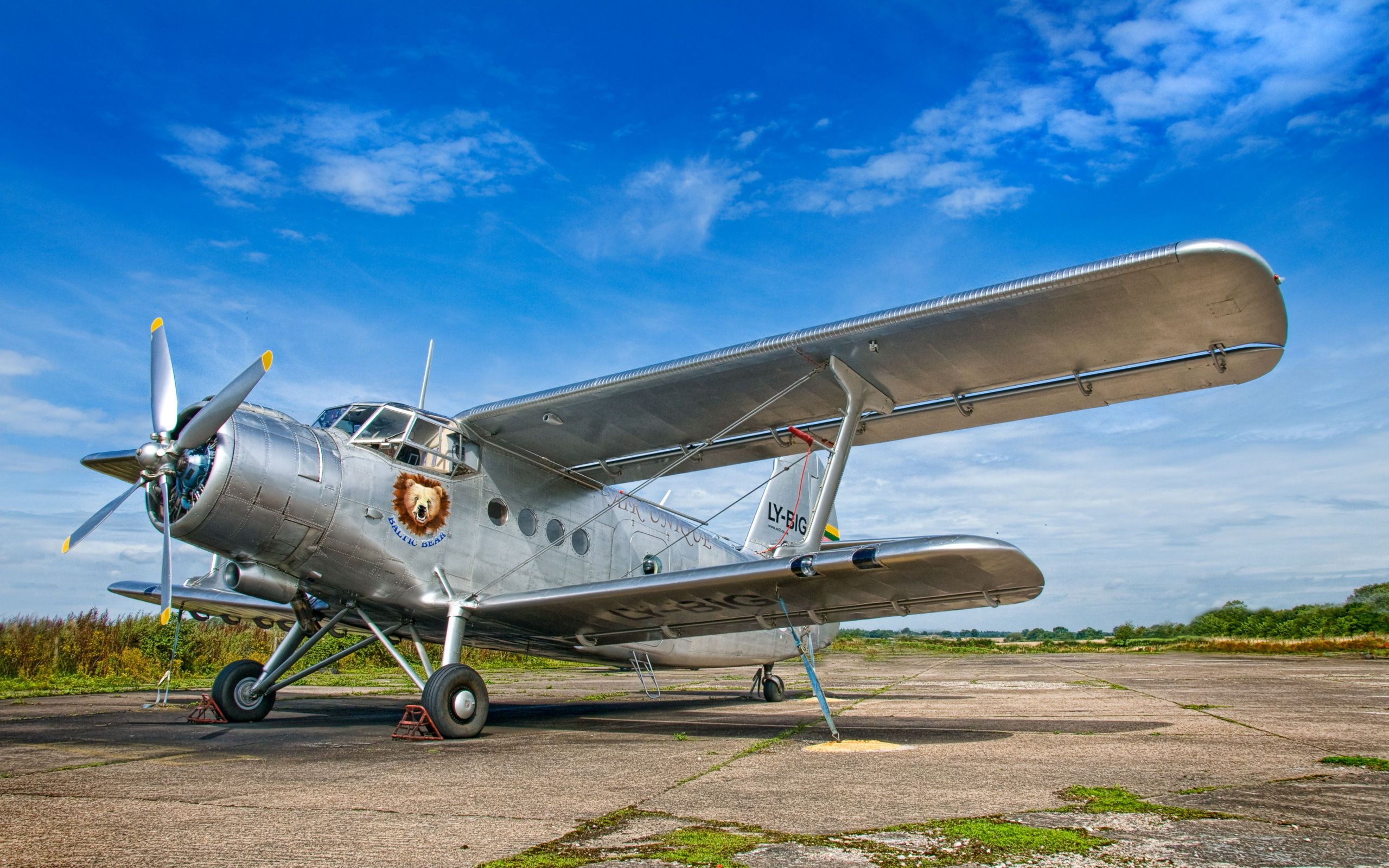 Baltic Bear LY-BIG Antonov AN-2