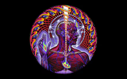 Trippy HD wallpaper featuring the anatomy of a figure surrounded by vibrant colors and eyes, inspired by the music of Tool. A captivating blend of art and sound.