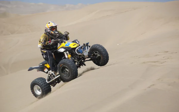  Racing ATV's In Sand Dunes by Luis Dulanto
