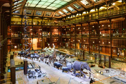  Great Gallery of Evolution, National Museum of Natural History Paris by Joe deSousa